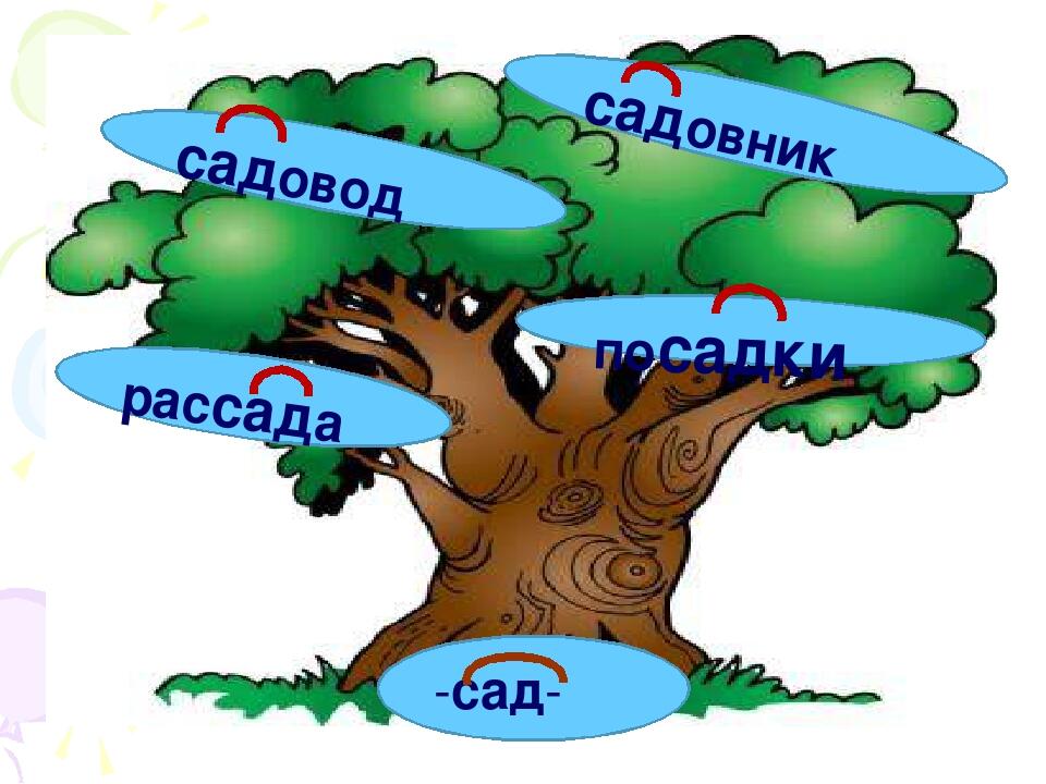 Что такое однокоренные слова