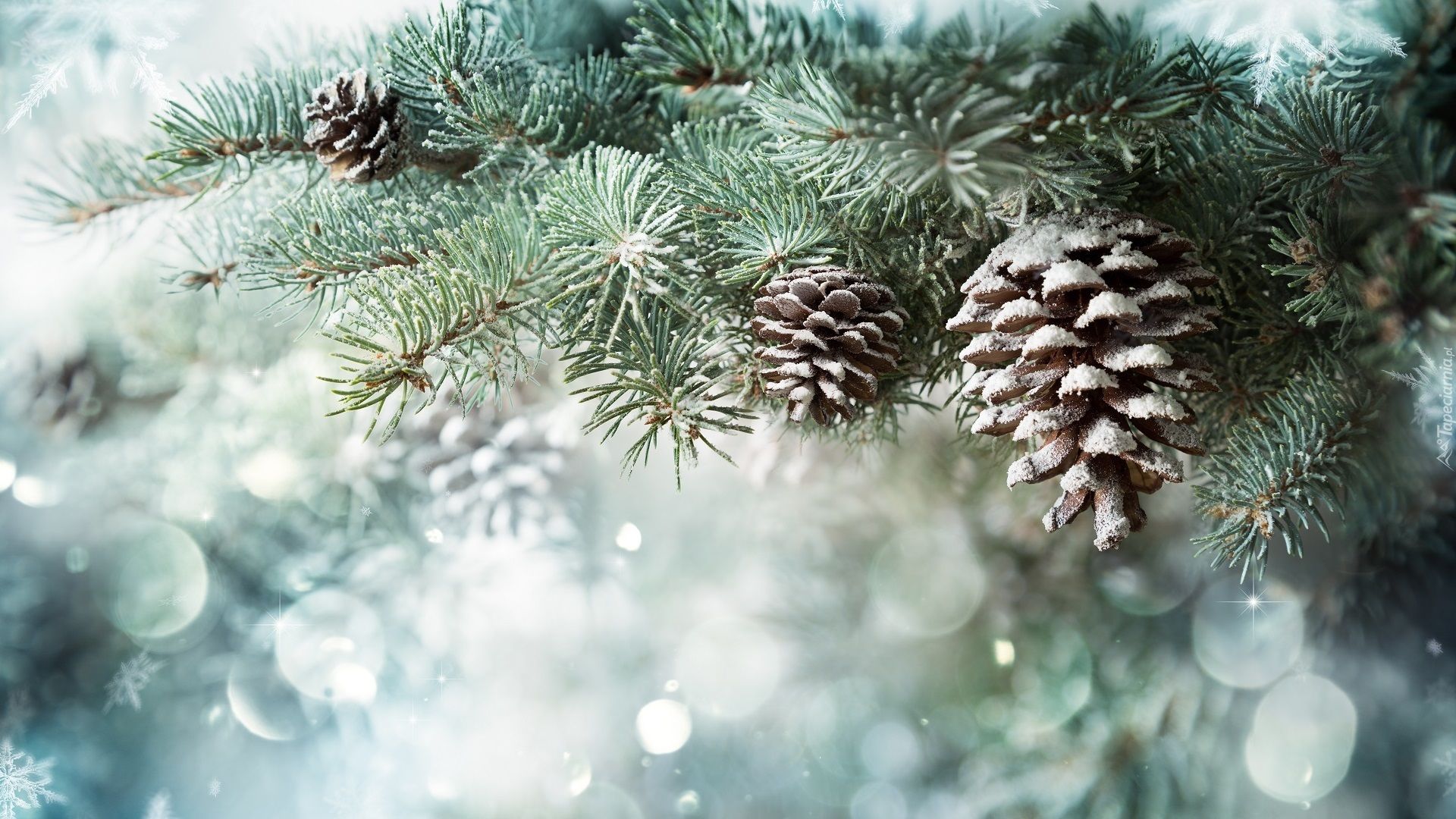 Вірші про зиму для дітей – 15 гарних віршів