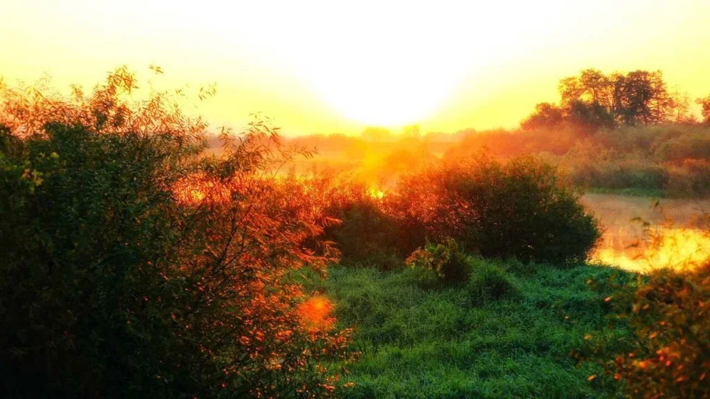 Світає, край неба палає