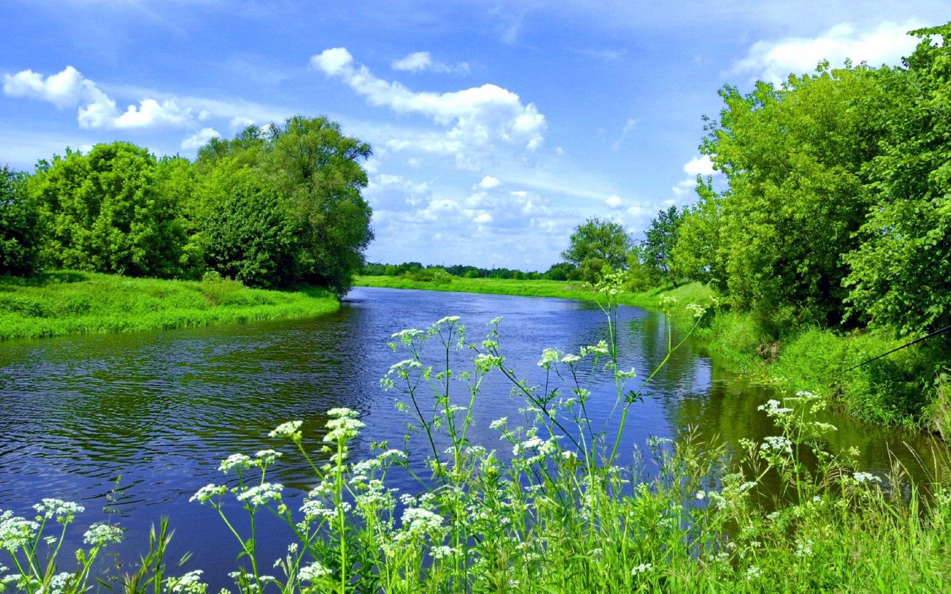 Вірші про літо для дітей – 15 віршів