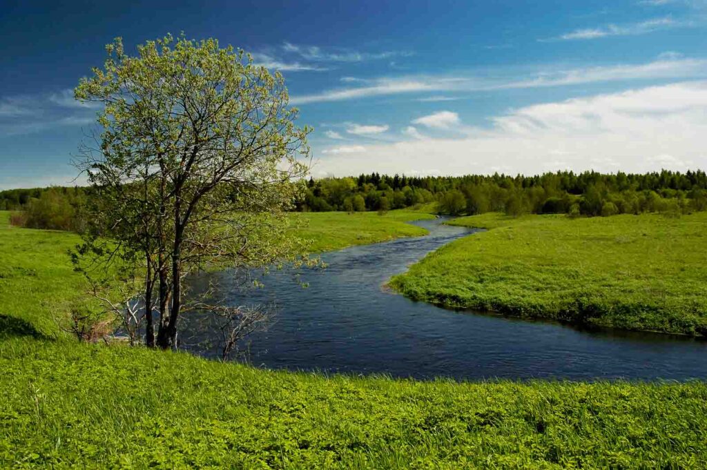 Рідний край